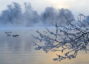 Стройматериалы, лес, плиты, металл.