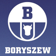 Сайдинг «Boryszew» (Борышев) в Запорожье и Украине